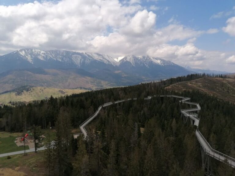 From Krakow: Treetop Walk & Zakopane Visit Small Group Tour - Who Would Love This Tour?