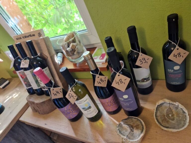 From Krakow: Wine Tasting at Vineyard - Pricing and Value