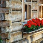 From Krakow: Zakopane and Dunajec River Rafting Tour - A Closer Look at the Itinerary and Highlights