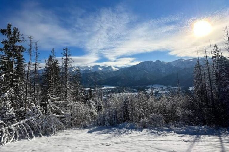 From Krakow: Zakopane Day Trip with Funicular & Food Tasting - Is It Worth It?