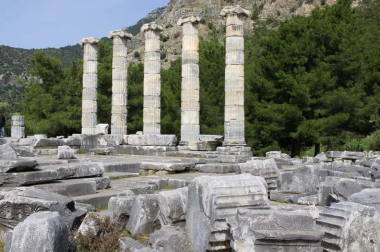 From Kusadasi Port: Priene, Miletus, and Didyma Daily Tour - What Makes This Tour Stand Out?