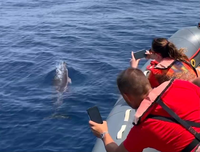 From Lagoa: Dolphins & Ponta da Piedade with biologist guide - What’s Included and What’s Not