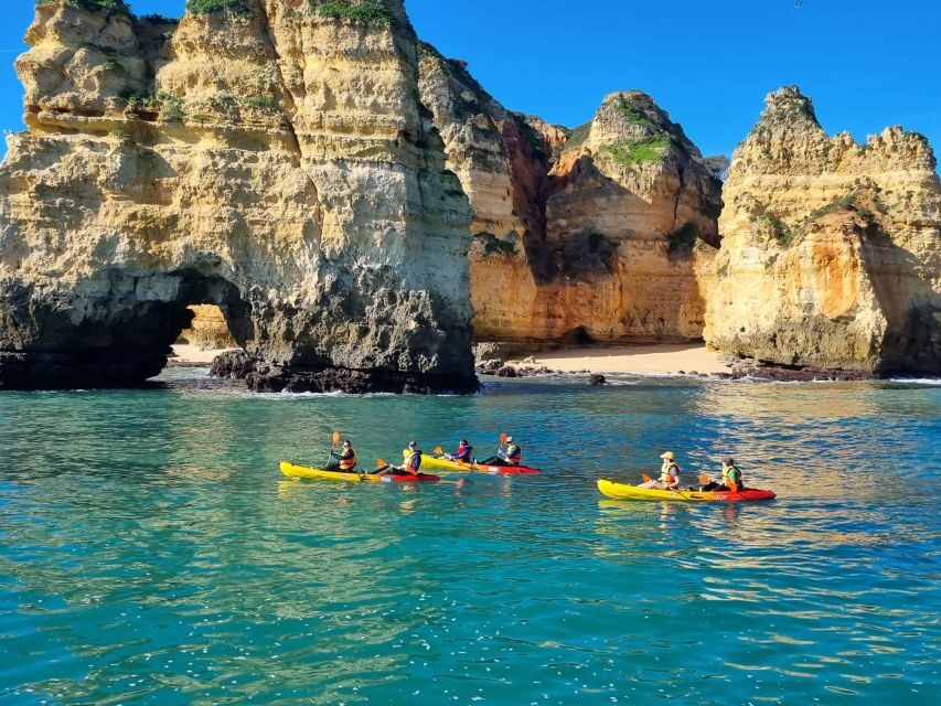 From Lagos: Kayak Experience in Ponta da Piedade - What to Expect from the Itinerary