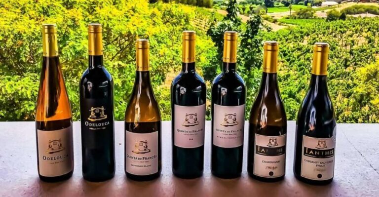 From Lagos: Small-Group 4-Hour Wine Tasting Tour - What Travelers Love About This Tour