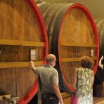 From Lake Garda: Full-Day Valpolicella Wine and Lunch Guided Trip - The Experience in Detail