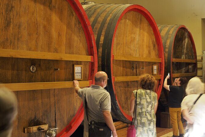 From Lake Garda: Full-Day Valpolicella Wine and Lunch Guided Trip - The Experience in Detail