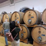 From Lake Garda: Valpolicella Wine & Lunch Guided Trip - An Overview of the Experience