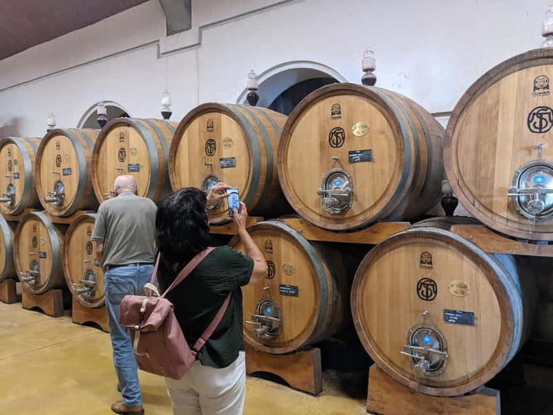 From Lake Garda: Valpolicella Wine & Lunch Guided Trip - An Overview of the Experience