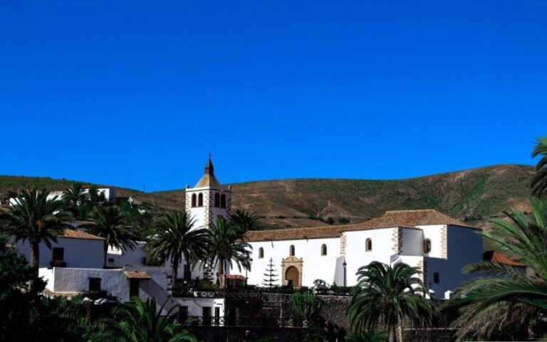 From Lanzarote: Fuerteventura Day Trip - Who Is This Tour Best For?