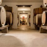 From Las Palmas: Half day tour Volcano Bandama & Vineyard - The Details That Matter