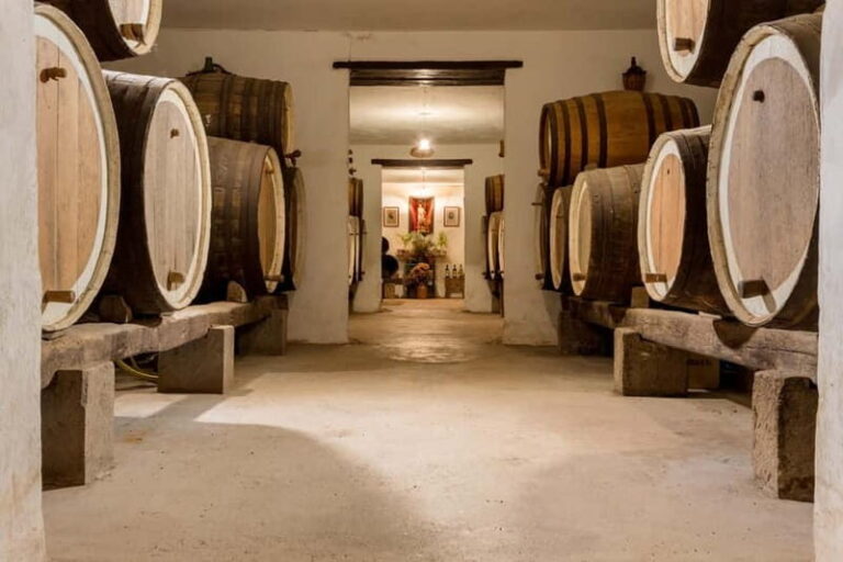 From Las Palmas: Half day tour Volcano Bandama & Vineyard - The Details That Matter