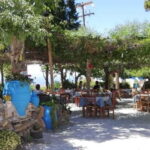 From Lasithi: Richtis Gorge - What to Expect: A Step-by-Step Breakdown