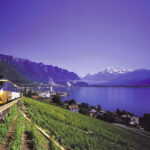 From Lausanne: Gruyères Tour with Train, Chocolate & Cheese - Why It Works: What We Love