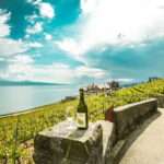 From Lausanne: Montreux, Chaplin, and Chillon Castle Tour - Visiting Chaplin’s World in Vevey