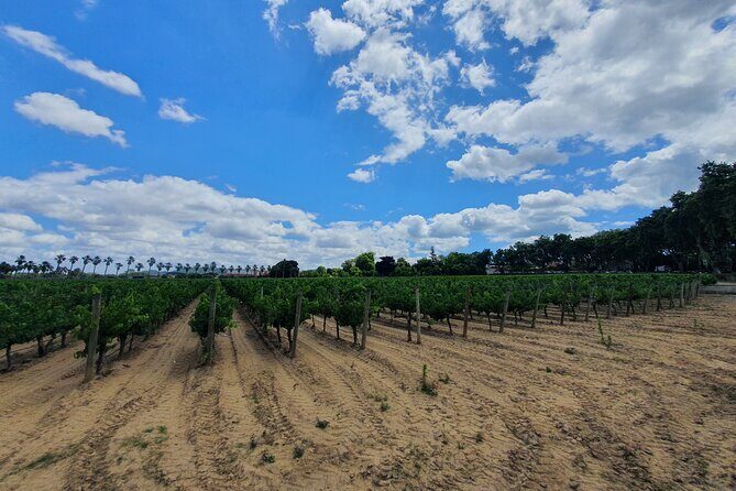 From Lisboa: Arrábida, Azeitão, Setúbal, Palmela Small-Group Tour - What Makes This Tour Stand Out