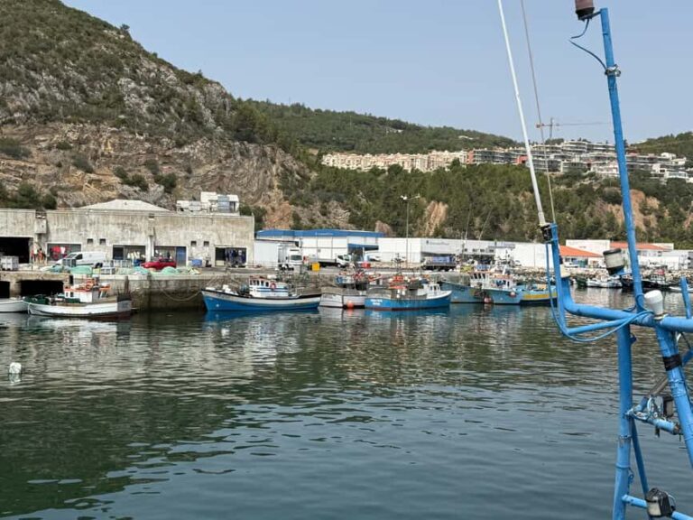 From Lisbon: Amazing Full-Day Tour with Boat Ride - Lunch in Sesimbra: A Seafood Lover’s Dream