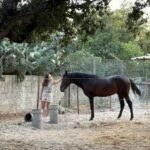 From Lisbon: Amazing Full-Day Tour with Horse Riding on the Beach - What Makes This Tour Stand Out?