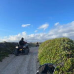 From Lisbon: Atlantic Coast Guided Quad Bike Tour - What’s Included & What Not