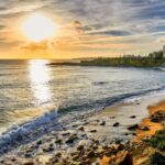 From Lisbon: Cascais Estoril Beach & Wine Pass - The Practical Side: Transportation, Cost, and What’s Included