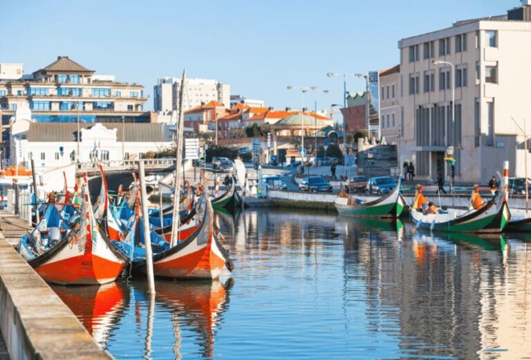 From Lisbon: COIMBRA and AVEIRO - The Experience in Practice