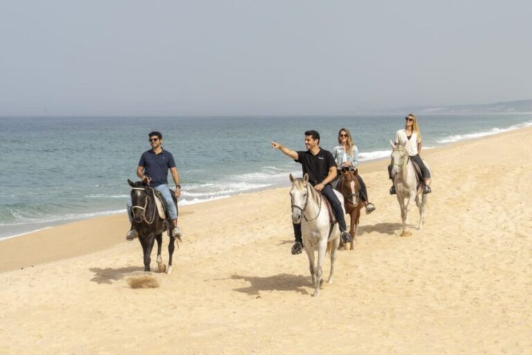 From Lisbon: Comporta and Setúbal Trip with Horseback Riding - What’s Included and What Not