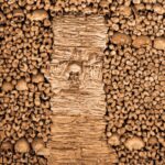 From Lisbon: Évora + Chapel of Bones + Monsaraz + Alentejo Wines - The Charm of Monsaraz