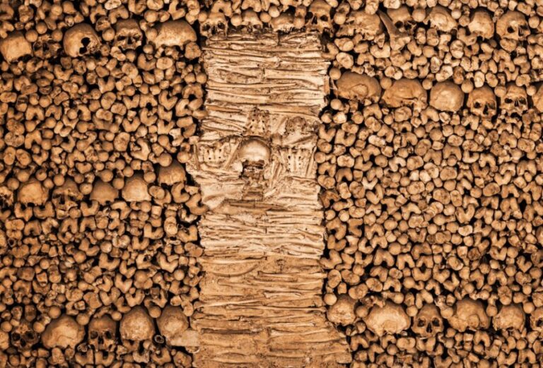 From Lisbon: Évora + Chapel of Bones + Monsaraz + Alentejo Wines - The Charm of Monsaraz