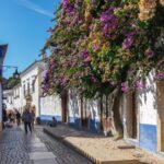 From Lisbon: Fátima, Nazaré, and Óbidos 8-Person Group Tour - Nazaré: From Sacred to Surf