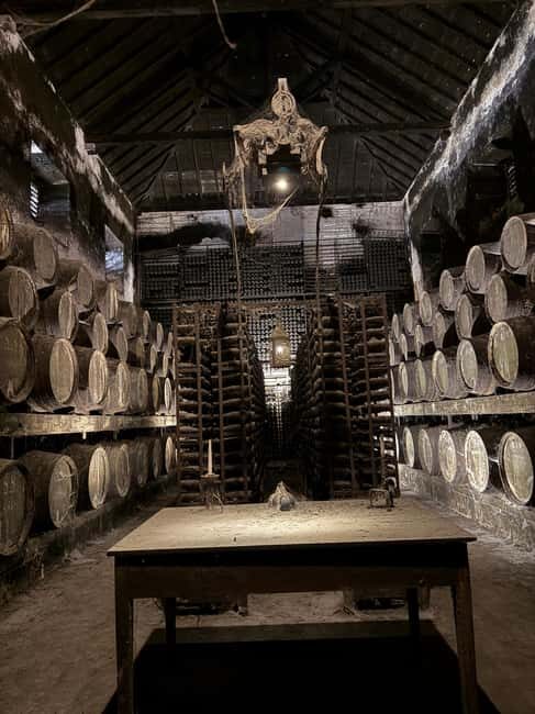 From Lisbon: Great visit to wineries, estates, palace, and wine tasting - The Experience: What Really Makes It Stand Out