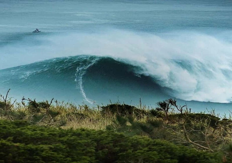 From Lisbon: Nazaré  Portugals Giant Waves Surf Tour - Who Should Consider This Tour?