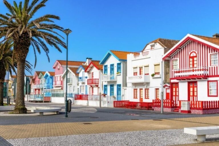From Lisbon: Private Aveiro and Ilhavo Full Day Tour - Transportation & Practical Details
