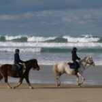 From Lisbon: Private Horse Ride, Wine & Tapas + Pickup - The Journey Begins with Comfort and Convenience