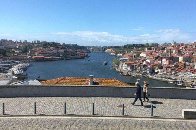 From Lisbon: Private Porto Sightseeing Tour - Breaking Down the Itinerary