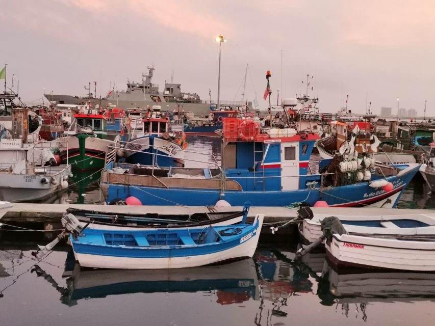 From Lisbon: Private Wine Tour with Setúbal & Arrábida - What We Love About This Tour