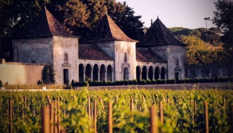 From Lisbon: Serra da Arrábida, Sesimbra, and Setúbal Wines - What Makes This Tour Special