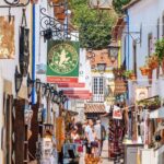 From Lisbon: Shared Tour to Fátima, Batalha, Óbidos, Nazaré - Who Is This Tour Best For?