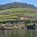 From Lisbon to Douro Valley with Stops up to 4 Cities - What’s Included and What’s Not