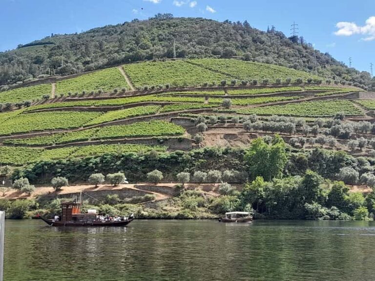 From Lisbon to Douro Valley with Stops up to 4 Cities - What’s Included and What’s Not