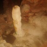 From Lisbon: Tomar Templar Full-Day Private Tour - Exploring Tomar’s Historic Center and Churches