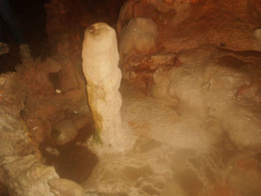 From Lisbon: Tomar Templar Full-Day Private Tour - Exploring Tomar’s Historic Center and Churches