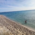 From Lisbon: Tróia and Bacalhoa winery museum with wine tasting. - The Overall Experience