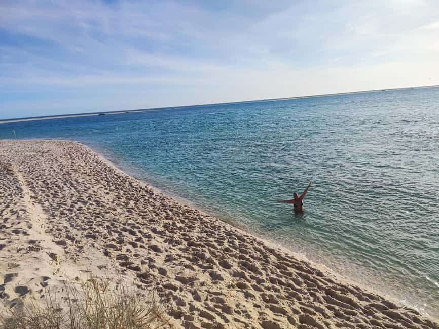 From Lisbon: Tróia and Bacalhoa winery museum with wine tasting. - The Overall Experience