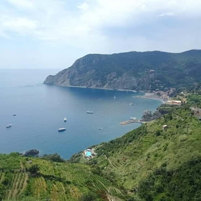 From Livorno: Accessible Cinque Terre and Pisa Private Trip - Transportation and Timing