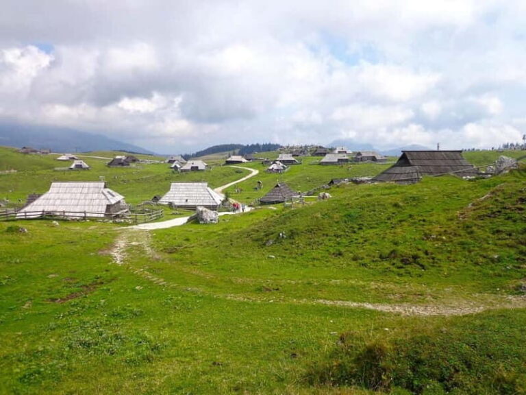 From Ljubljana: Velika Planina Guided Hike - How Is the Tour Organized?