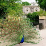 From Lodz: Warsaw City Private Guided Day Trip - Exploring Old Town: history and charm