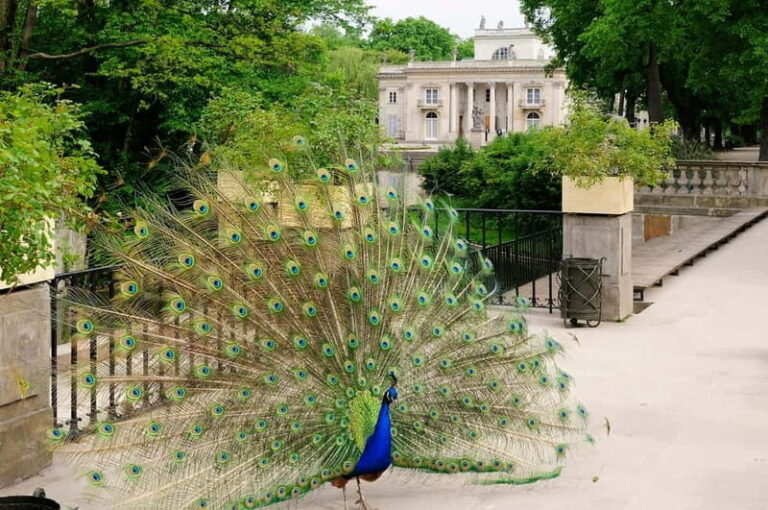 From Lodz: Warsaw City Private Guided Day Trip - Exploring Old Town: history and charm