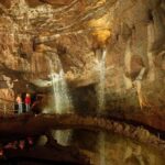 From London: Brecon Beacons Dan Yr Ogof Caves Full-Day Tour - Exploring Dan Yr Ogof: The Heart of the Adventure