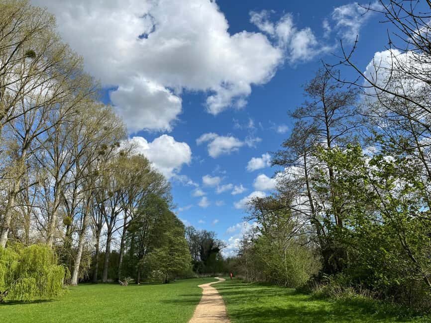 From London: Private Guided Walking & Fine Dining Tour - The Experience in Practice: What Travelers Might Expect