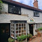 From London: Winnie-the-Pooh's Hundred Acre Wood Day Tour - What We Loved About the Tour