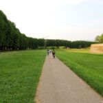 From Lucca to Pisa: Self-Guided Bike Tour - FAQs